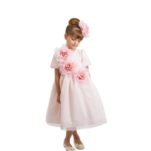 Load image into Gallery viewer, Dress
