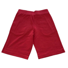 Load image into Gallery viewer, Shorts
