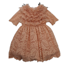 Load image into Gallery viewer, Light Pink Lace Dress
