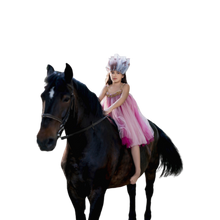 Load image into Gallery viewer, Dress
