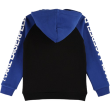 Load image into Gallery viewer, Hooded Sweatshirt
